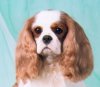 Click to visit William's page